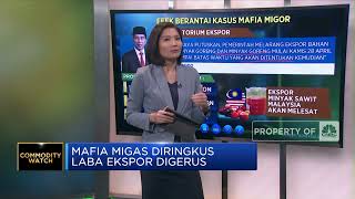 Mafia Migor Diringkus, Laba Ekspor Digerus