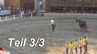 Showprogramm Teil 3/3 - Großostheim Classics 2017 || Reitstall Lindenhof ?