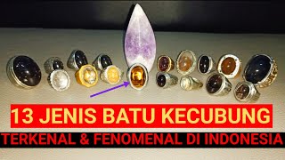 13 JENIS BATU KECUBUNG TERKENAL & FENOMENAL DI INDONESIA