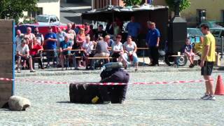 HDV 0987