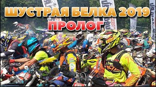 "Шустрая белка" 2019- пролог
