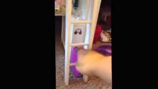American Girl Doll...all about my Journey Girl loft bed.  Our first video...kk