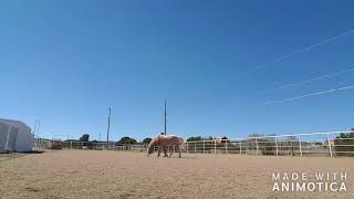 Art2Ride Associate Trainer Program: Ryanne and Ariel Submission 2 Part 1