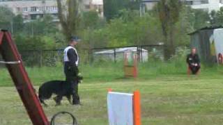Zhirkevich_Brit_B-88