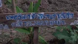 กสิกรรมไร้สารพิษ: เพอร์มาคัลเจอร์พลังศีล บรรยายโดยหมอเขียว ดร.ใจเพชร กล้าจน