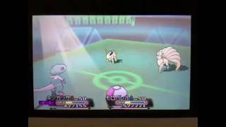 Pokémon ORAS 草統一＊雙打＊積分ー03
