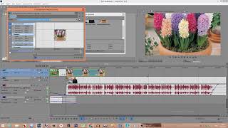 Панорамирование и обрезка событий в Sony Vegas. Сони Вегас для начинающих видеоблоггеров