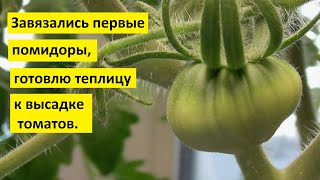 Ответы на вопросы. Огород. О подготовке теплицы к высадке томатов, о рассаде, о первых помидорах.