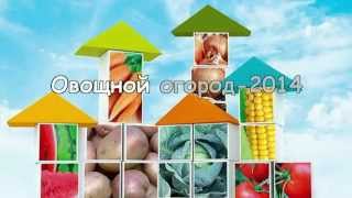 Syngenta. Овощной город - 2014