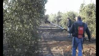 ΑΓΡΟΜΕΞ ΑΕΒΕ - ΕΛΑΙΟΣΥΛΛΕΚΤΙΚΟ KARBONIUM