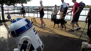 R2D2 celebrates his first July 4th. fireworks in Dunkirk NY.