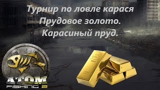 Atom Fishing II - Турнир Прудовое золото. Карасиный пруд.