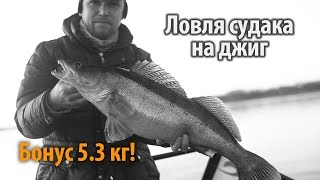 Ловля судака на реке Днепр (18+). Хронология интересных моментов. (KEITECH, FISHUP, REINS, SMITH)