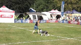 Latające Psy Warszawa 2016. Agata i Rayko
