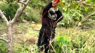 川野科技電動剪枝機 Electronic Pruner