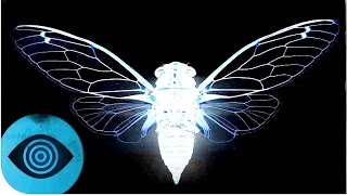 Für wen arbeitet Cicada 3301?