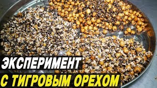 ПРИКОРМКА ДЛЯ КАРПА. Эксперимент на производстве LION BAITS. Розыгрыш призов!