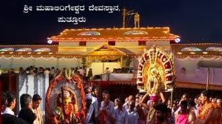 Puttur Shree Mahalingeshwara Devara Aaraata Mahotsava -  2013
