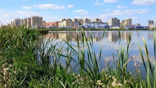 Рядом с озером Алебашево в Тюмени появится большая зона отдыха