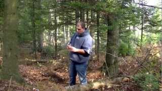 chasse aux chevreuil - technique