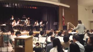 RIS advanced band, 2012 (The Washington post march)