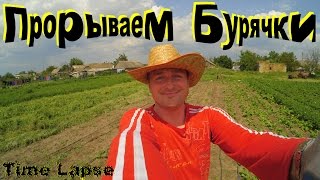 ? Мотоблок Formula 1 / Работаем на Выезде / Timelapse