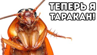 ТЕПЕРЬ Я ТАРАКАН! - Cockroach Simulator