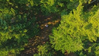 Sylwia i Piotr plener ślubny 2019