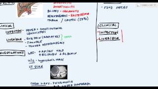 Hepatic Abscess or Liver Abscess (Pyogenic, Hydatid, Amoebic abscess)