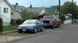 Animal planet-The ashley on the run