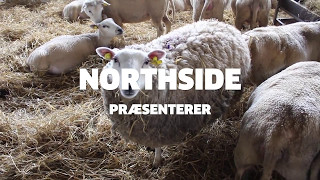 SåRT på NorthSide 2017