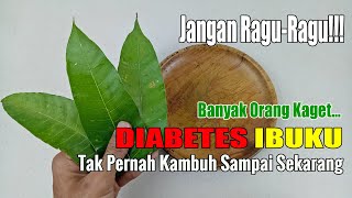SEMUA ORANG KAGET... HANYA MEMANFAATKAN DAUNAN INI DIA BETES HILANG SECARA ALAMI