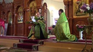 Пос. Васильево. Святая Троица.Церковь Воздвижения Честного Креста Господня.31.05.2015.