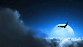菊池ひみこ - Flight In The Moonlight