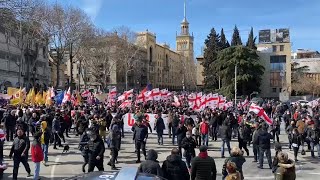 Оппозиция вывела тысячи людей на акцию протеста в центре Тбилиси - видео
