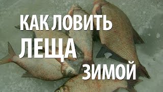 ЛОВЛЯ ЛЕЩА ЗИМОЙ