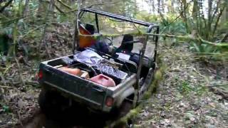 Yamaha Rhino Flipped