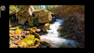 Relaxing Guitar Music