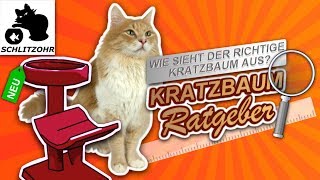 ?Kratzbaum XXL, Kratzbaum günstig, Kratzbaum für große Katzen - worauf achten? Katzenbaum Ratgeber
