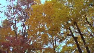 Turkish Instrumental Music...