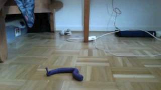 dragon stop motion worm crush