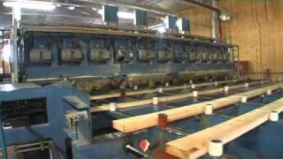 Pihlavan Saha - Tyopaikkani. My employment
