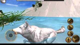 Обзор игры Ultimat Wolf simulator