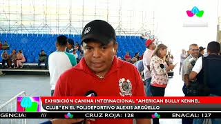 Multinoticias |Exhibición canina internacional "American Bully Kennel Club"