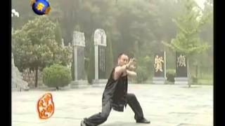 Shaolin Hei Hu Quan (小林黑虎拳) Boxeo del Tigre Negro de Shaolin