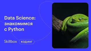 Data Science с чего начать? Интенсив по Data Science