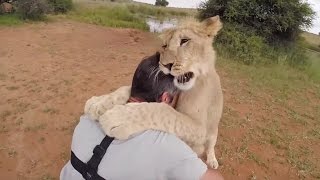 TOUGH LOVE | The Lion Whisperer