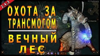 Diablo 3 : RoS ► Охота за Трансмогом : "Когти Пантеры" ► ( Обновление 2.4.3 )