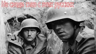 Не своди глаз с этих русских! Немецкие рассказы.
