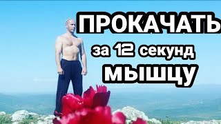 ПРОКАЧАТЬ МЫШЦЫ ЗА 12 СЕК!